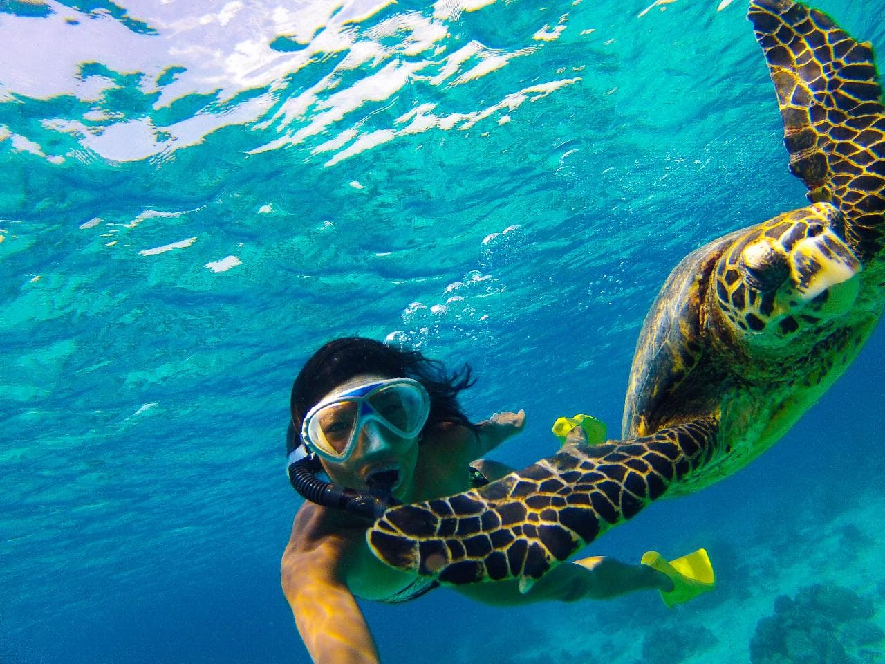 Monkey Sea, Monkey Do Snorkeling Tour — photo 11