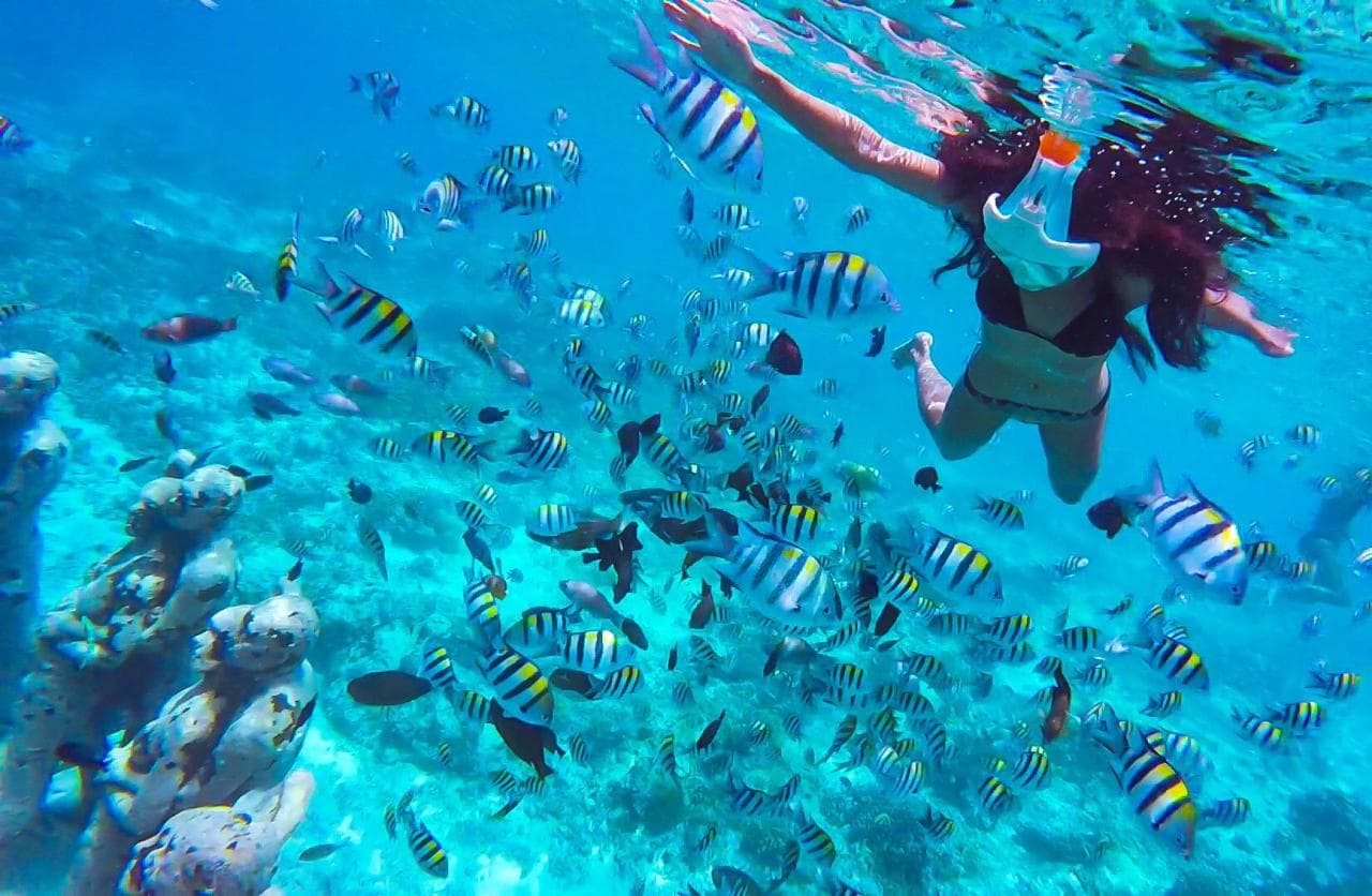 Monkey Sea, Monkey Do Snorkeling Tour — photo 9
